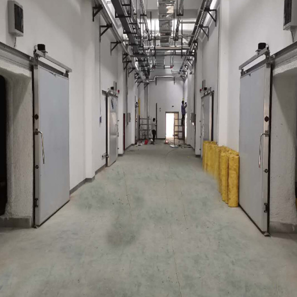 新型电动平移门