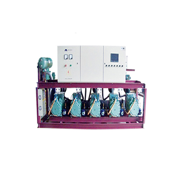 比泽尔活塞式并联机组