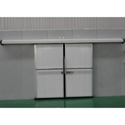 冷库手动双开门