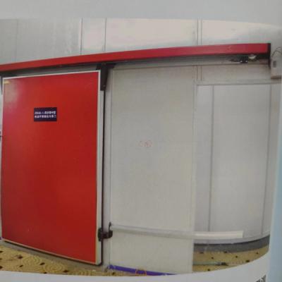 豪华电动平移门