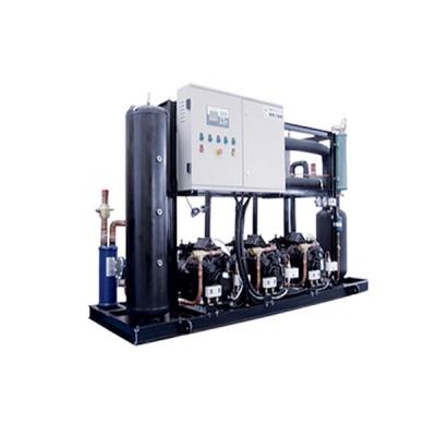 谷轮活塞并联机组