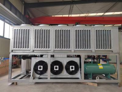 出口斐济比泽尔110匹