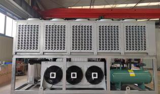 出口斐济比泽尔110匹