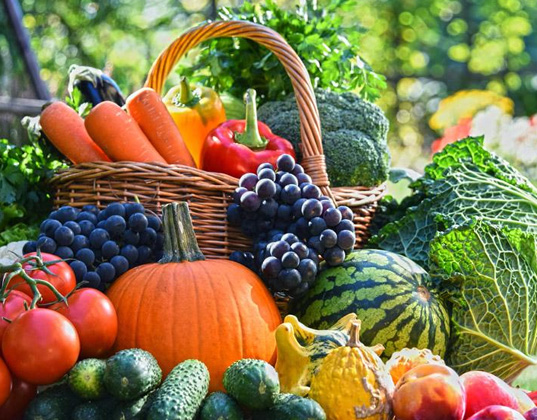 恒温物流冷藏室安装设计要求及价格 恒温物流冷藏室安装设计要求及价格