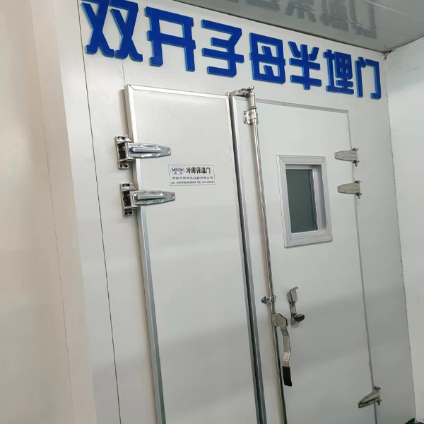 双开子母半埋门