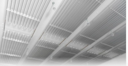 1775524470138826.png a31791aa-08db-4417-8d4d-f5b94abf7a38.png